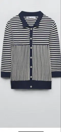 ZARA ストライプニットポロシャツ