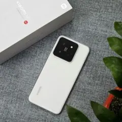 Xiaomi 14 16/512 （グリーン、中国版、SIMフリー） - メルカリ