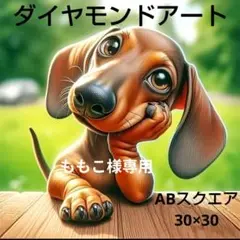 ももこ様 リクエスト 2点 まとめ商品