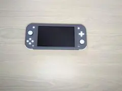 Nintendo Switch Lite 本体 グレー
