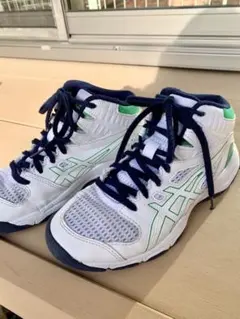 Item thumbnail for item 7e276070-1faf-472d-b660-82cb39916b9f