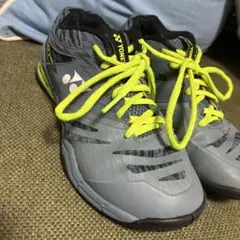 Item thumbnail for item 16d25028-4399-4335-a749-96463d07ed3f