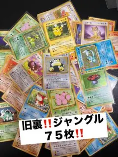 第一弾 ポケモンカード 旧裏 ギャラドス ホロ 御三家 トレナーズ