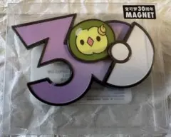 ポケモン30周年 マグネット ユニラン 中国ポケセン限定