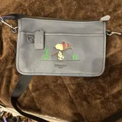 COACH スヌーピー刺繍レザーポーチ