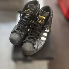 Adidaspromodel swag fuckthisindustry sk8のサムネイル