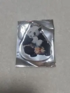 アドベンチャーワールド 彩浜 アクリルミニブロック