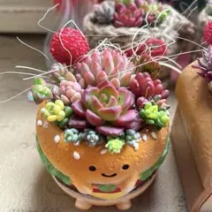 ハンバーガー♡多肉植物寄せ植え♡そのまま飾れる♡