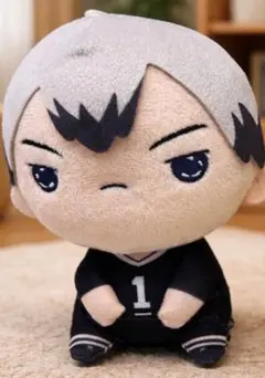 ハイキュー もちぴこ ぬいぐるみ　北信介