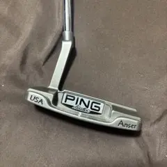 PING Anser パター