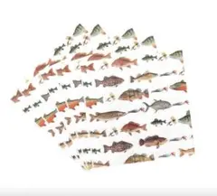 Item thumbnail for item aee89f42-368e-4bac-9017-089c43bd3a0a