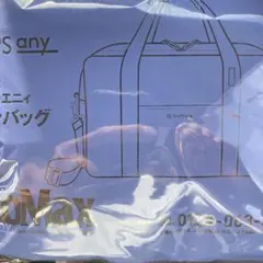 MonoMax 10月号付録 SHIPS anyシップス エニィ ボストンバッグ