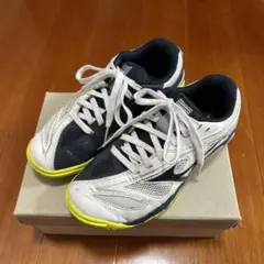 ハル様専用　Mizuno 卓球用シューズ 23 女性用