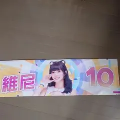 台湾プロ野球 passion sisters 維尼 タオル