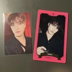 SEVENTEEN 2023 シーグリ　ディノ