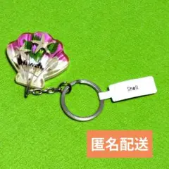 ハワイ シェル キーホルダー リアルシェル