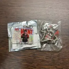北海道コンサドーレ札幌　家泉怜依　グッズ