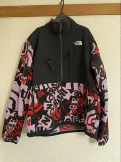 THE NORTH FACE グラフィックダウンジャケット