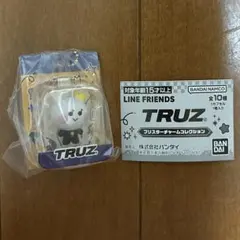 treasure TRUZ ブリスターチャームコレクション　YOCHI