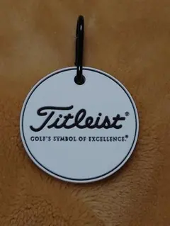 レア　Titleist TTロゴ ネームプレート　チームタイトリスト　非売品 レア Titleist TTロゴ ネームプレート チームタイトリスト 非売品