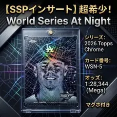 セール！アメリカ海軍 HSM-51 ワーローズ プラチナチャレンジコイン