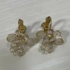 アネモネ　ビーズイヤリング