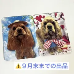 いぬカフェRio トレカ 2枚セット アメリカンコッカースパニエル