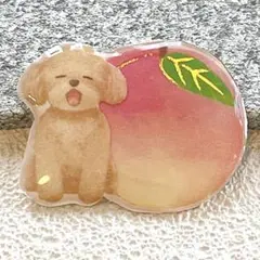 レジンヘアゴム　プードル 2025年最新】トイプードルレジンヘアゴムの人気アイテム - メルカリ