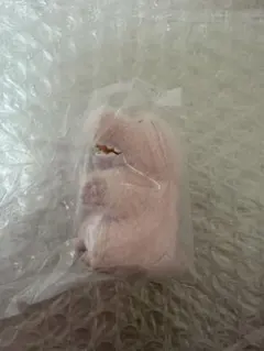 ワーリーフレンズ　フロッキーフィギュア