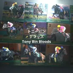 トニービン ブラッズ サラブレッドカード00年上半期 9枚組コンプリートセット