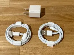 新品未使用 純正iPhone 充電器Lightningケーブルセット おまけ付き