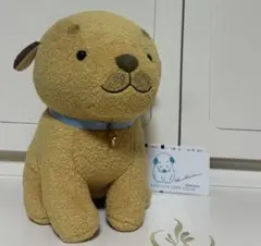 2026年最新】ころわん ぬいぐるみの人気アイテム - メルカリ