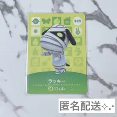 ◎《まとめ割》【匿名配送】新品amiiboカード　第4弾 385 ラッキー