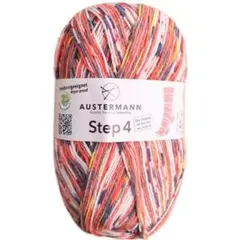 Austermann　アウスターマン　Step4　カップケーキ　487番