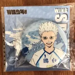 ハイキュー　鴎台　星海　缶バッジ