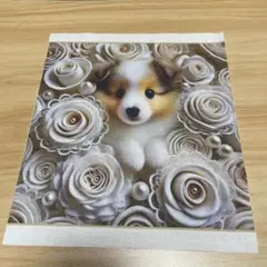 確認用