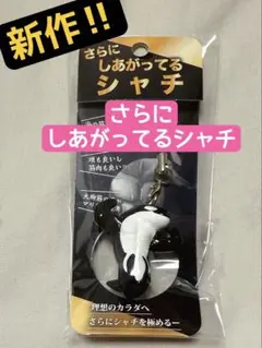 Item thumbnail for item 00b5b6a6-c925-4767-941a-cf7578147ed0