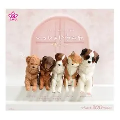 いっしょにねんね わんこ