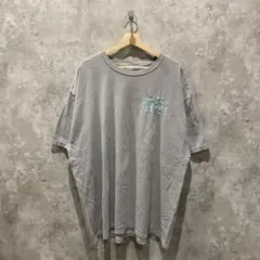 【送料無料】USA古着 COMFORT COLORS 刺繍デザイン Tシャツ