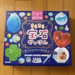 ⭐︎Gakken きらきら宝石せっけんキット⭐︎