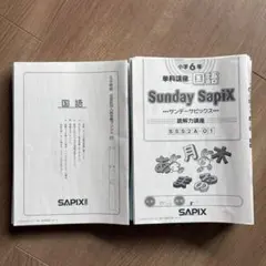 【★2024受験】Sapix6年2023年度版 国語 土曜特訓１年分セット ☆2024受験】Sapix6年2023年度版 国語 土曜特訓1年分セット - メルカリ