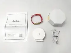 Item thumbnail for item b699e560-f580-468f-b396-955dc7fbc091