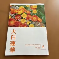 2026年最新】大白蓮華の人気アイテム - メルカリ