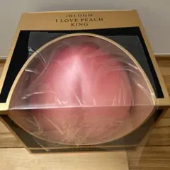 【未使用】スクイーズ THE PEACH ぴっちぴちピーチ ジェル もも THE PEACH 特撰 ジェル もも 絵柄 ピーチ スクイーズ まとめ売り