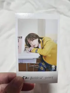 BUDDiiS SHOOT エビライ ミニフォト