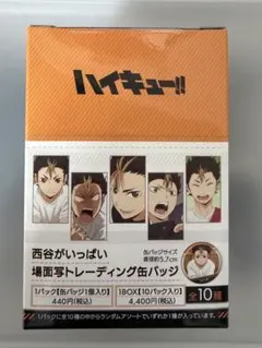 ジャンプフェスタ 2023 キャラバッジコレクション ハイキュー 谷地仁花