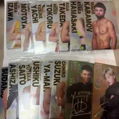 ライジンウエハース　一弾　初期　セット　未開封