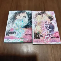 専用　最愛Ⅰ 君に降り積む雪になる　最愛Ⅱ　君に誓う永遠