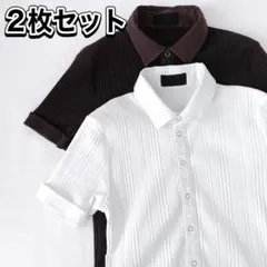 メンズ　おしゃれシャツ　白&濃茶　2枚セット