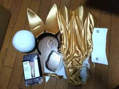 TOKYOバニーガール　　バニーガール　Lサイズのサムネイル
